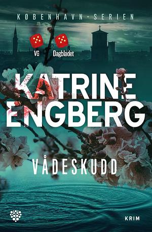 Vådeskudd by Katrine Engberg