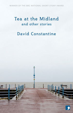 Tea at the Midland and Other Stories by David Constantine
