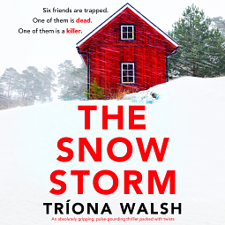 The Snowstorm  by Tríona Walsh