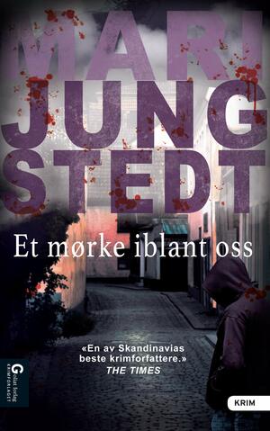 Et mørke iblant oss by Mari Jungstedt