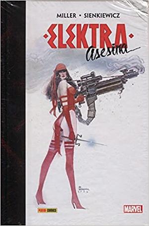 Elektra Asesina by Bill Sienkiewicz, Frank Miller