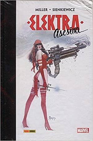 Elektra Asesina by Frank Miller, Bill Sienkiewicz