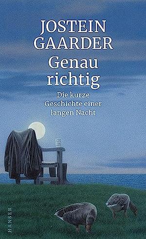 Genau richtig: Die kurze Geschichte einer langen Nacht by Jostein Gaarder