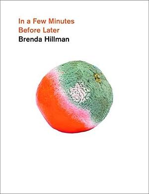 In a Few Minutes Before Later by Brenda Hillman