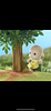 silverbirch's profile picture
