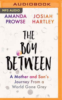 The Boy Between: A Mother and Son's Journey from a World Gone Grey by Amanda Prowse, Josiah Hartley