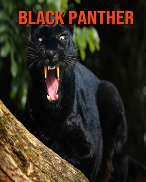 Black Panther: Learn About Black Panther and Enjoy Colorful Pictures by Diane Jackson