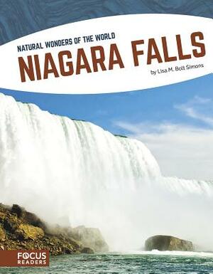 Niagara Falls by Lisa M. Bolt Simons