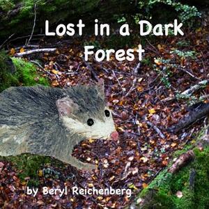 Lost in a Dark Forest by Beryl Reichenberg