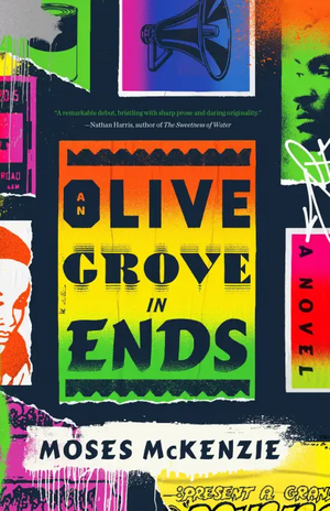 An Olive Grove in Ends by Moses McKenzie