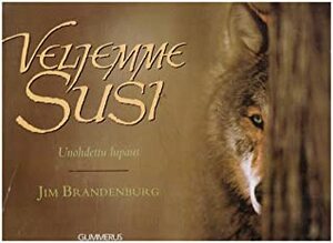 Veljemme susi - Unohdettu lupaus by Jim Brandenburg