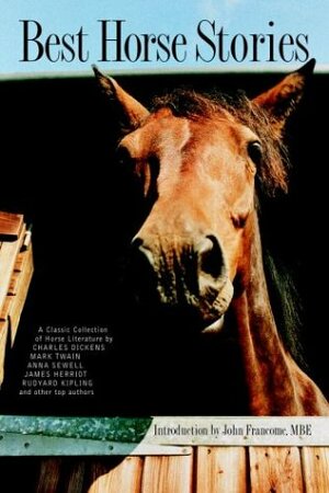 Best Horse Stories by Lesley O'Mara