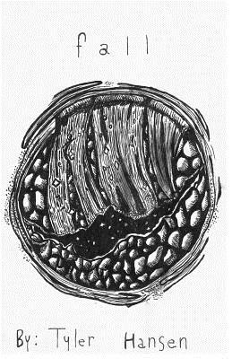 Fall by Tyler D. Hansen