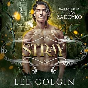 Stray by Lee Colgin