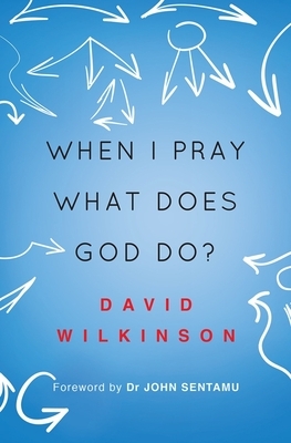 When I Pray, What Does God Do? by David Wilkinson