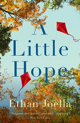 A Little Hope by Ethan Joella