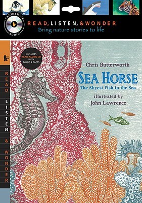 Sea Horse: The Shyest Fish in the Sea [With CD (Audio)] by Chris Butterworth