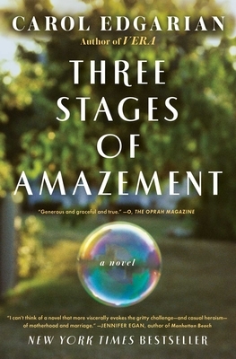 Three Stages of Amazement by Carol Edgarian