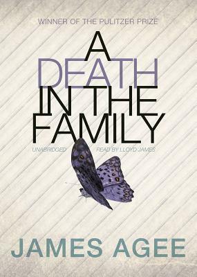 A Death in the Family by James Agee