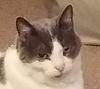 mc_price's profile picture