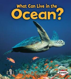 What Can Live in the Ocean? by Sheila Anderson