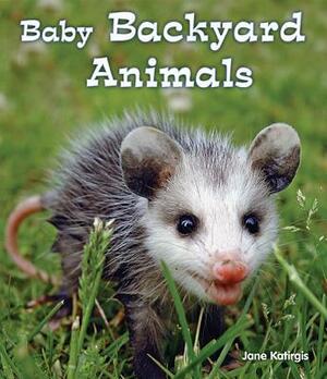 Baby Backyard Animals by Jane Katirgis