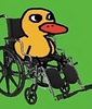 whatsupdog's profile picture