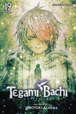 Tegami Bachi, Vol. 19, Volume 19 by Hiroyuki Asada