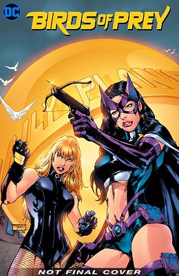 Birds of Prey: Hero Hunters by Gail Simone