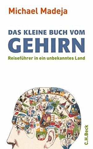 Das Kleine Buch Vom Gehirn Reiseführer In Ein Unbekanntes Land by Michael Madeja