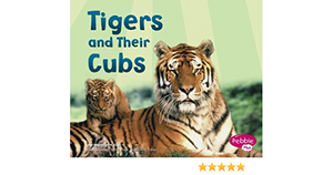 Tigers and Their Cubs by Margaret C. Hall, Tammy Quist, Gail Saunders-Smith