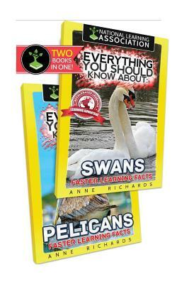 Everything You Should Know About: Swans and Pelicans by Anne Richards