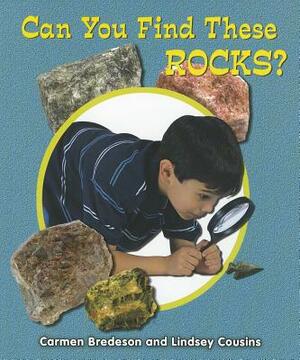 Can You Find These Rocks? by Lindsey Cousins, Carmen Bredeson