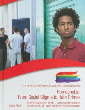 Homophobia: From Social Stigma to Hate Crimes by Bill Palmer