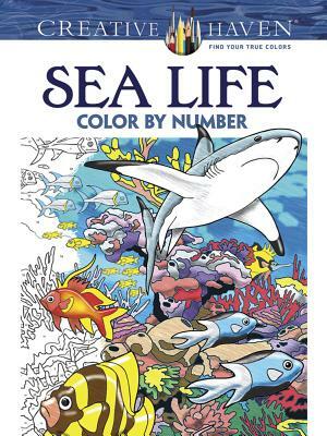 Creative Haven Sea Life Color by Number Coloring Book by George Toufexis