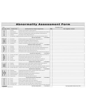 Abnormality Assessment Form by Enna