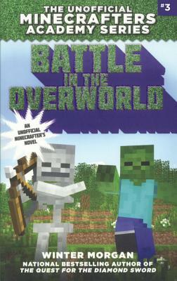 Battle in the Overworld by Winter Morgan