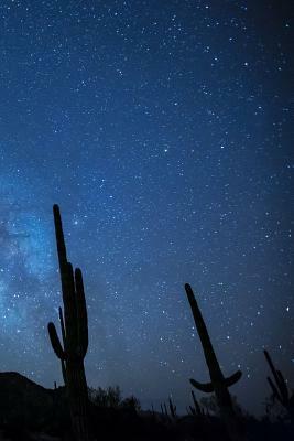 Milky Way with Cactus: The Milky Way Is the Galaxy That Contains Our Solar System. the Name Describes the Appearance from Earth: A Hazy Band by Planners and Journals