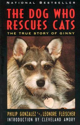 The Dog Who Rescues Cats: True Story of Ginny, the by Philip Gonzalez