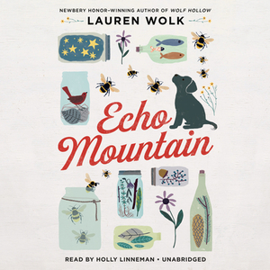 Echo Mountain by Lauren Wolk