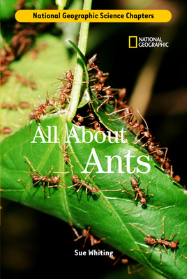 Science Chapters: All about Ants by Sue Whiting