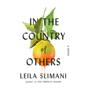 In the Country of Others by Leïla Slimani