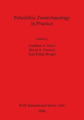 Paleolithic Zooarchaeology in Practice by 