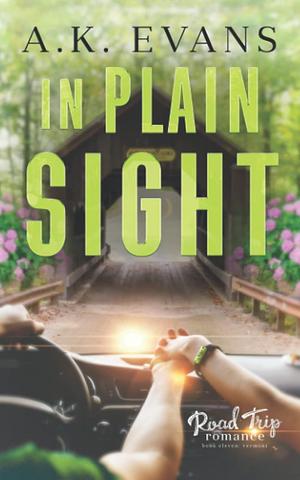 In Plain Sight by A.K. Evans