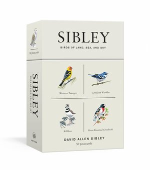 Sibley Birds of Land, Sea, and Sky: 50 Postcards by David Allen Sibley