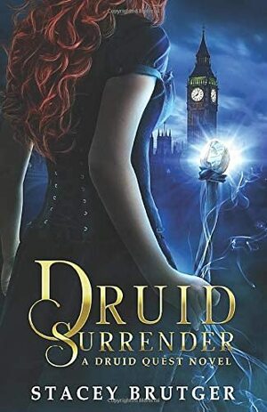 Druid Surrender by Stacey Brutger
