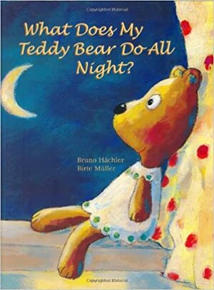 What Does My Teddy Bear Do All Night? by Bruno Hächler