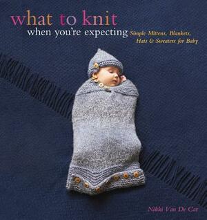 What to Knit When You're Expecting: Simple Mittens, Blankets, Hats & Sweaters for Baby by Nikki Van De Car