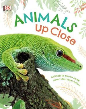 Animals Up Close: Animals as You've Never Seen Them Before by D.K. Publishing