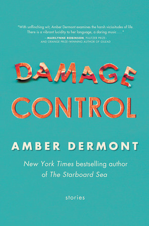 Damage Control: Stories by Amber Dermont